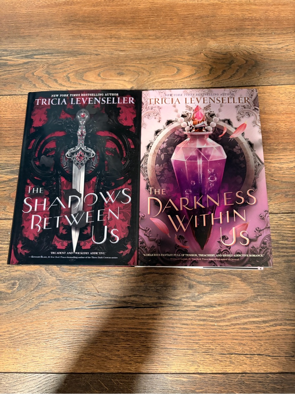 The Shadows Between Us and The Darkness within Us - by Tricia Levenseller